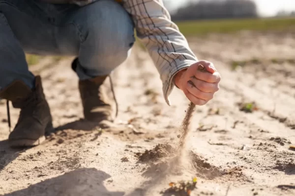 icasa fertilizantes